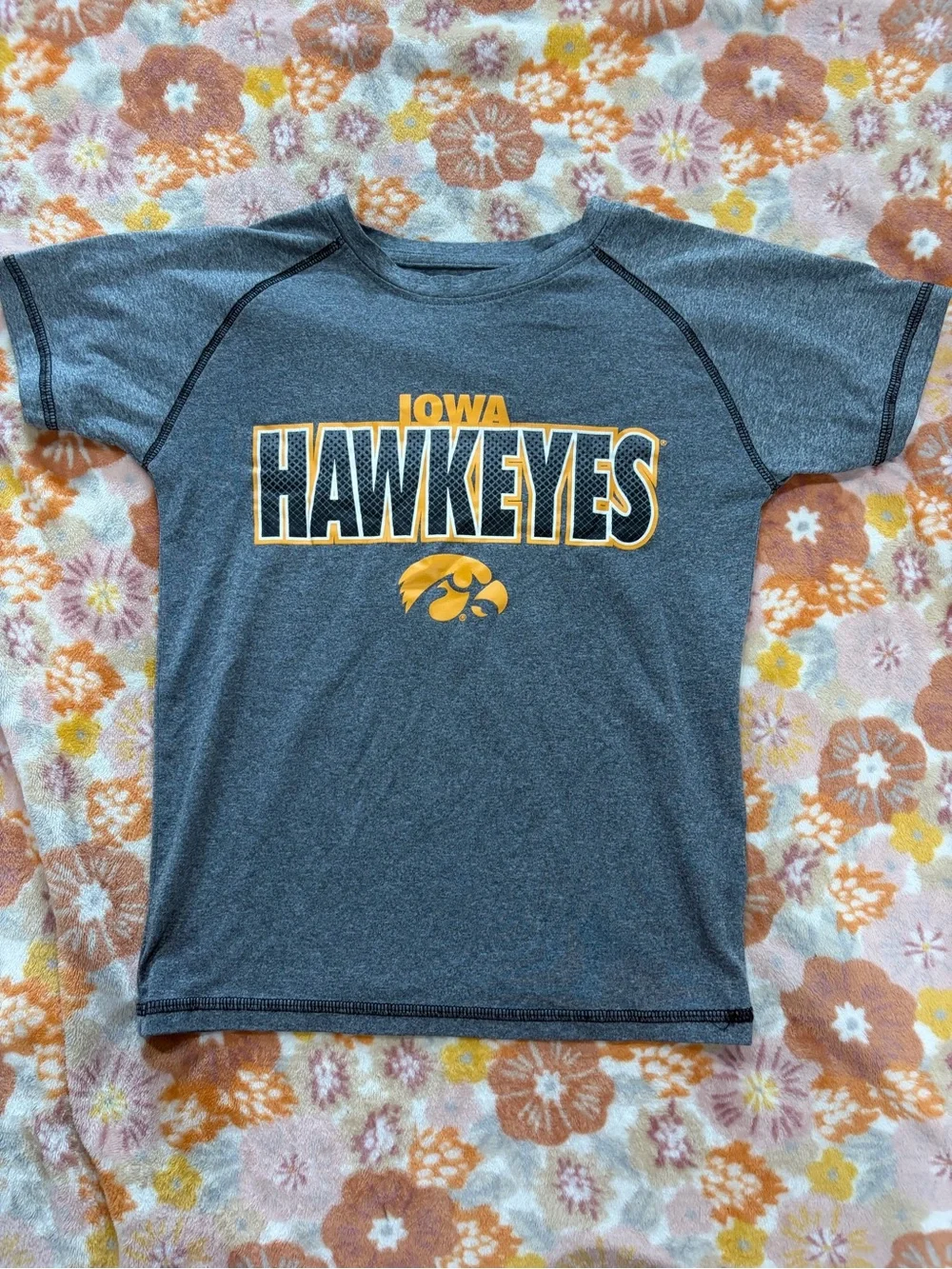 Iowa Hawkeyes  Gray T‑Shirt